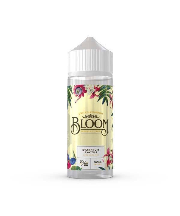 Starfruit Cactus by Bloom Short Fill